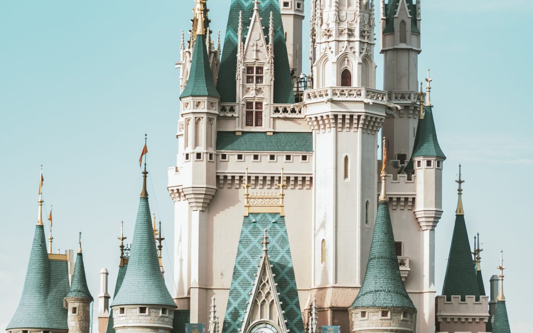 Bring on the Magic! Disney World Packing List for Adults